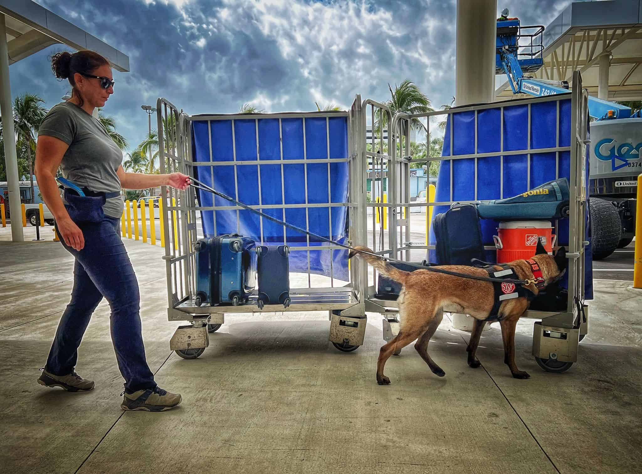 Case Study: Recent $117,000 Settlement for Injured Working Canine